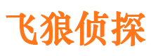 邛崃市侦探调查公司